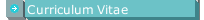 Curriculum Vitae